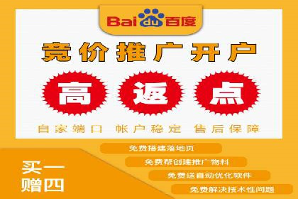 百度平台推广案例：低成本营销的成功之道